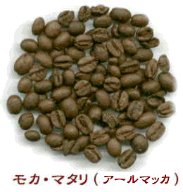 �R�[�q�[��